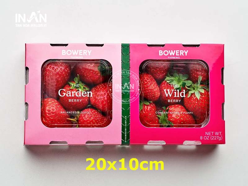 Hop-giay-dung-dau-tay-tan-hoa-mai-14