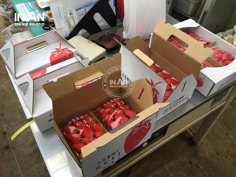 Hop-giay-dung-dau-tay-tan-hoa-mai-2