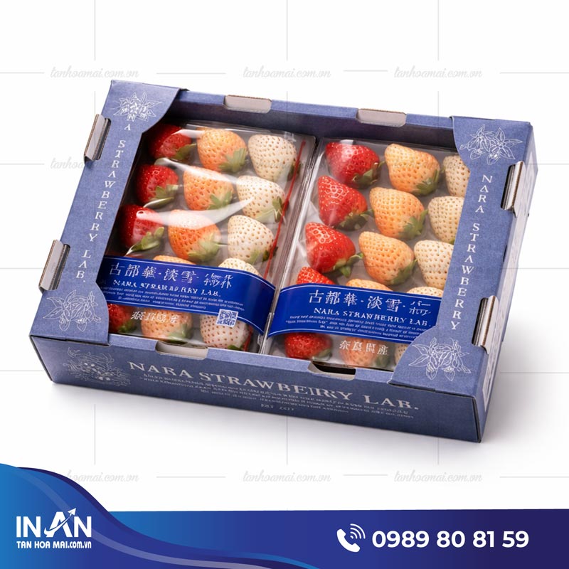 55+ Mẫu hộp giấy đựng dâu tây đẹp - bền - giá tốt năm 2026