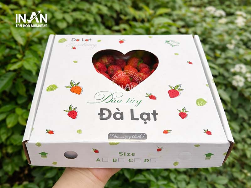 Hop-giay-dung-dau-tay-tan-hoa-mai-8