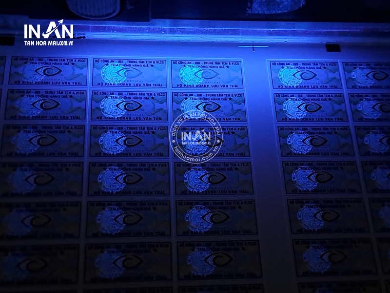 Tem-chong-hang-gia-tan-hoa-mai-3