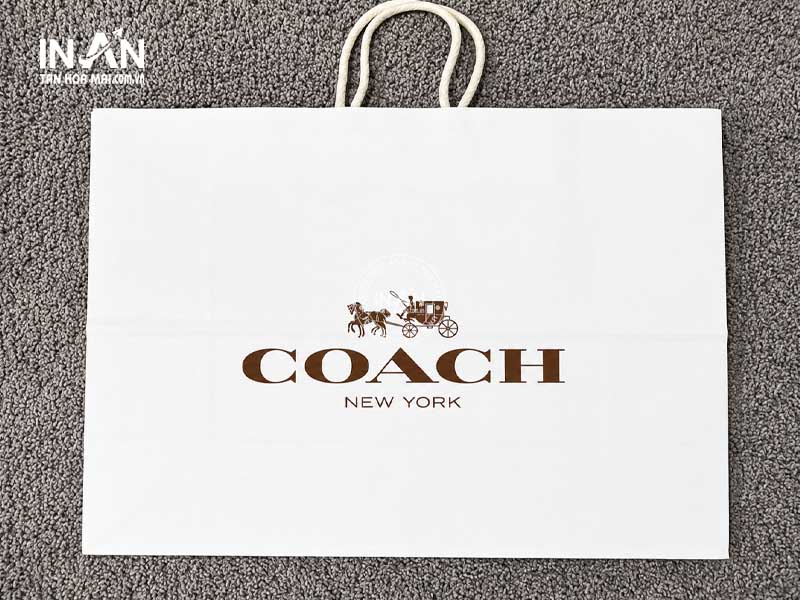 Tui-giay-coach-tanhoamai-02