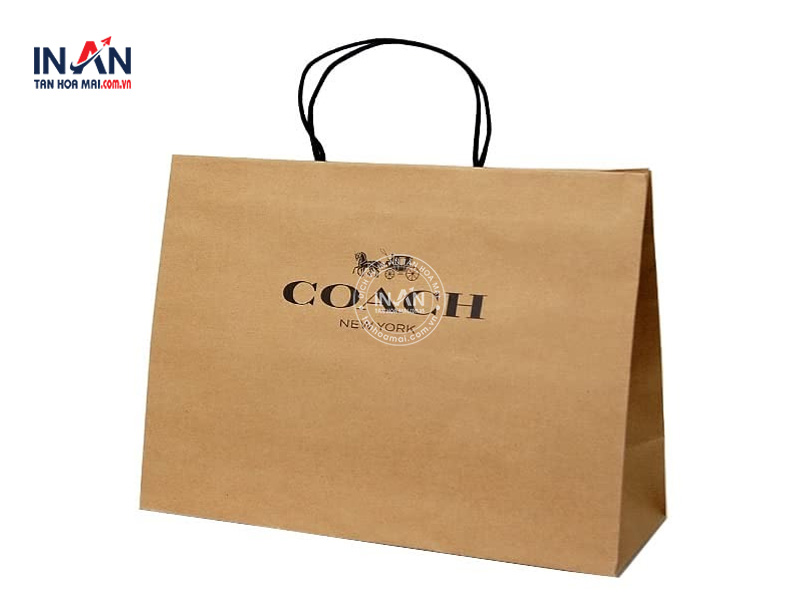 Tui-giay-coach-tanhoamai-04